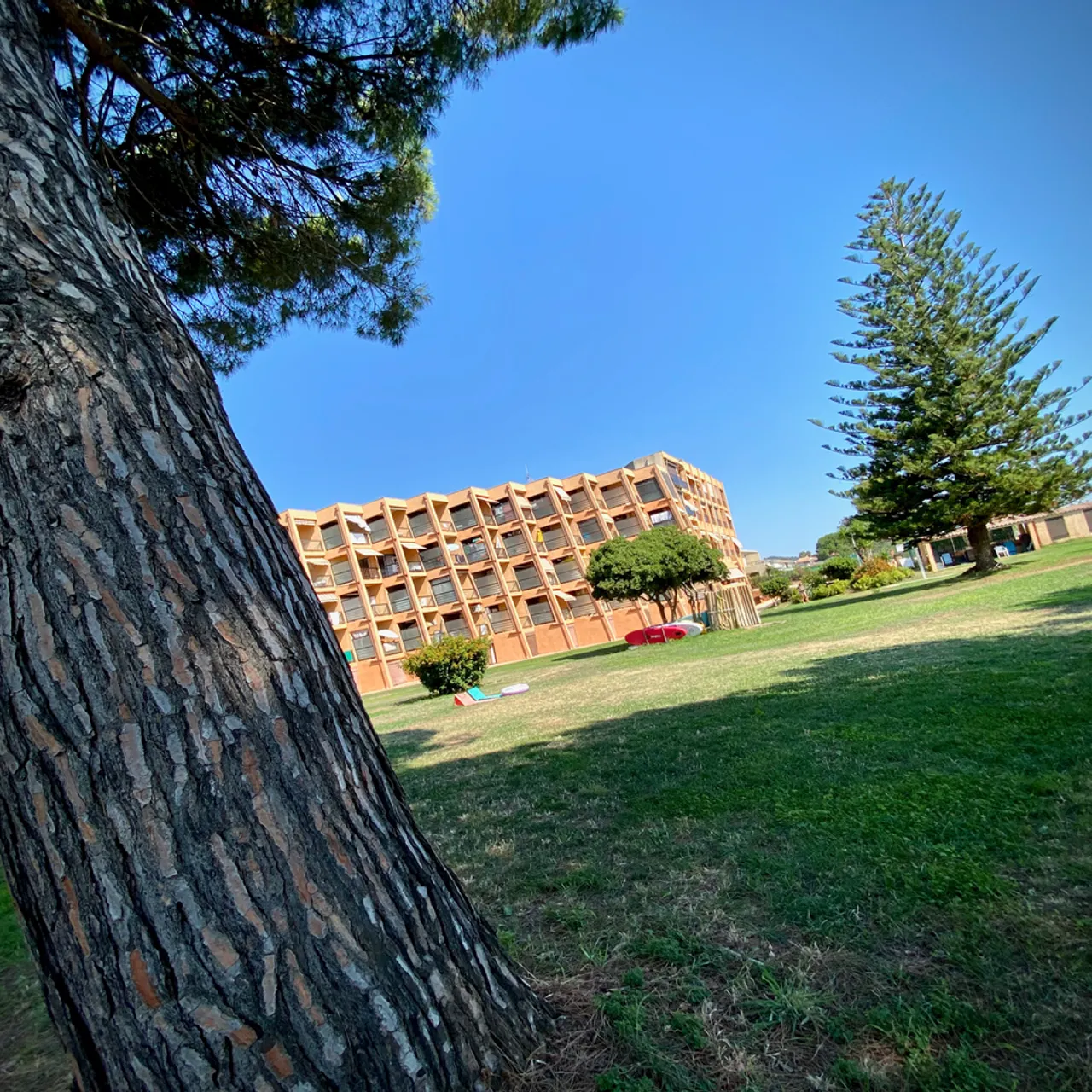 Jardin arboré proche de la mer