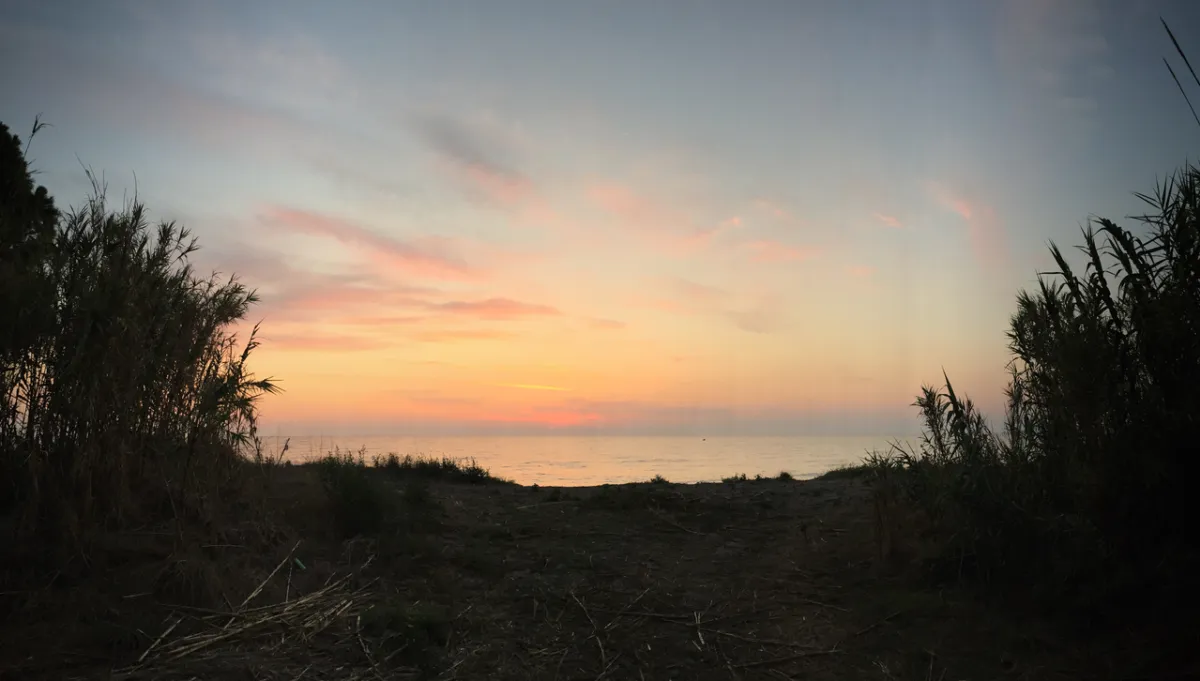 Chemin encadré de roseaux menant à la plage au coucher du soleil