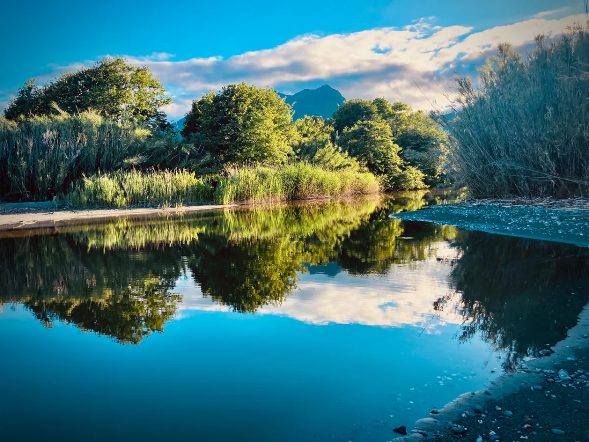Ruisseau Canapajo avec roselières et montagne en arrière-plan